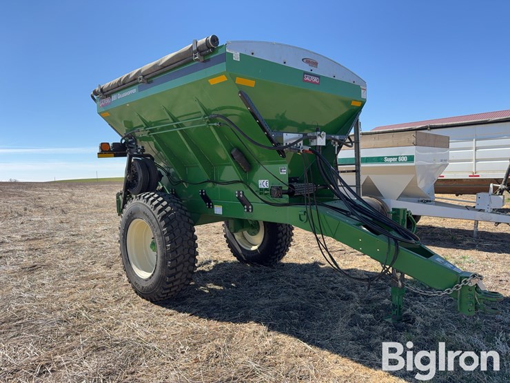 bbi-grasshopper-image-3