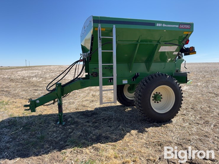 bbi-grasshopper-image-8