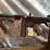 #10055-•-thompson-1927a-1c-ltw-dlx,-45-acp-semi-auto-rifle,-sn:-kpc1200-image-12