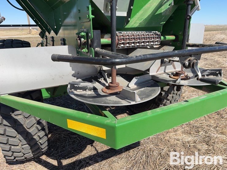 bbi-grasshopper-image-17