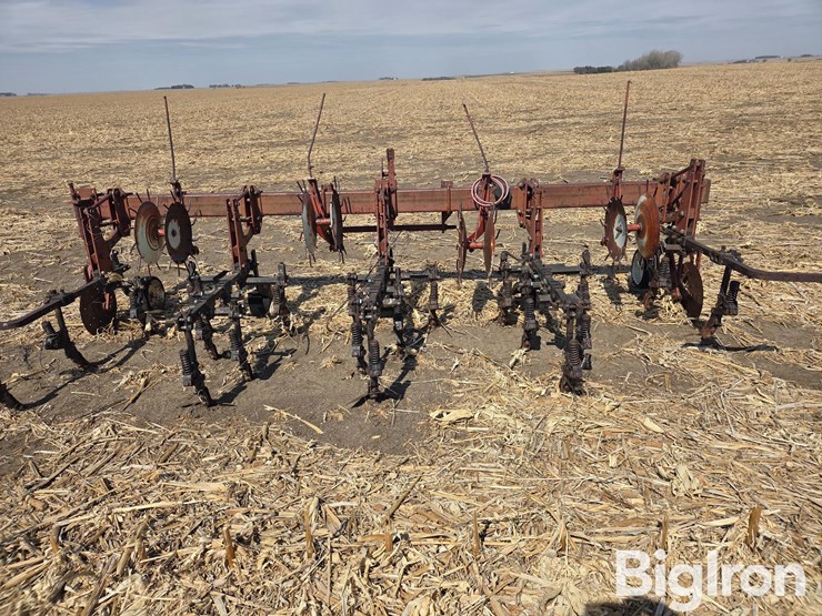 international-153-image-6