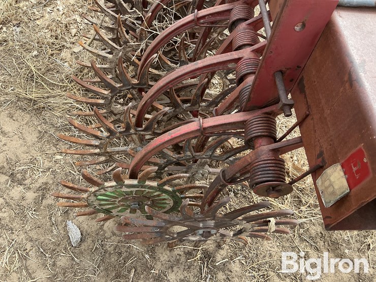 international-181-image-13