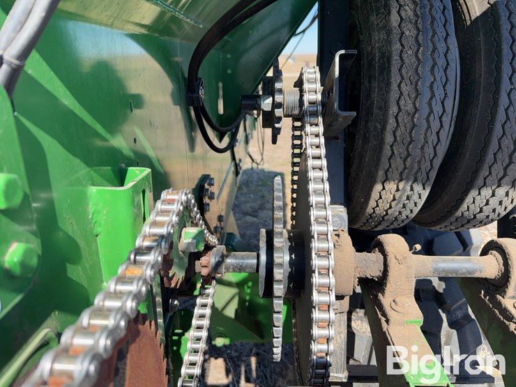 bbi-grasshopper-image-12