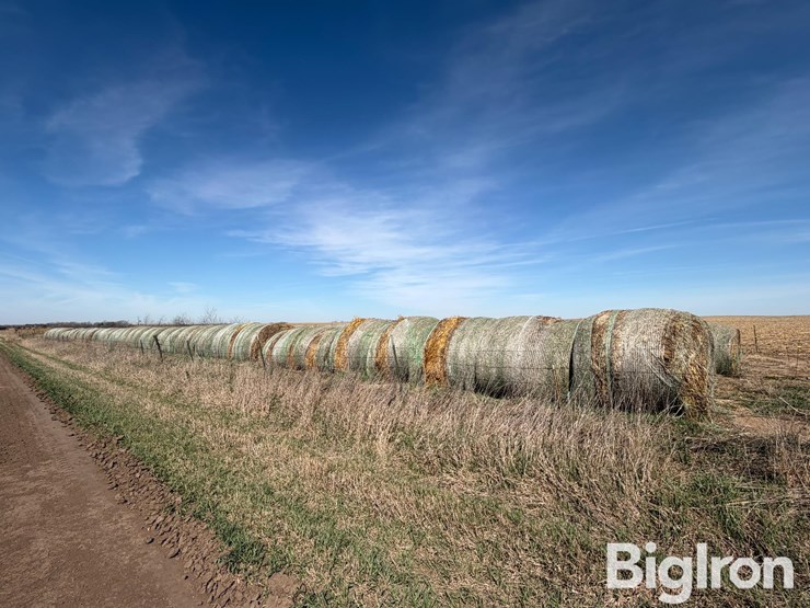 2024-oat-hay-image-4