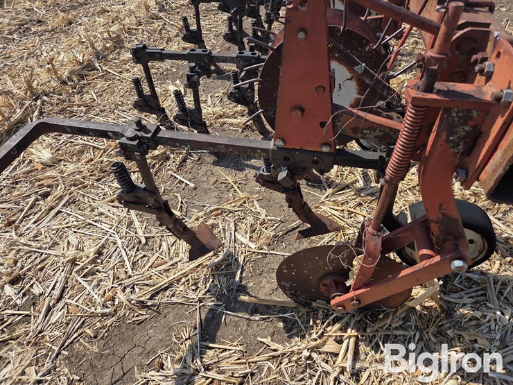 international-153-image-15