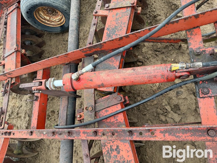 international-470-image-12