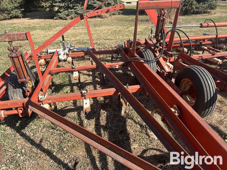 international-45-image-17