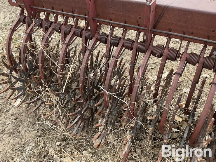 international-181-image-15