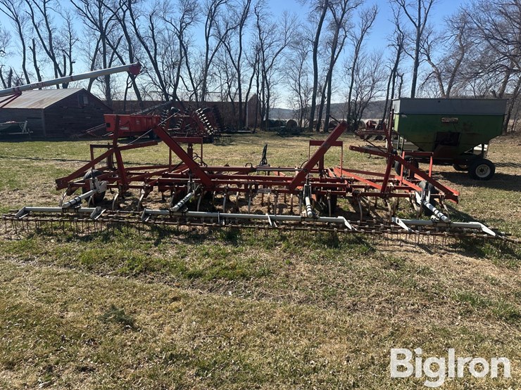 international-45-image-6