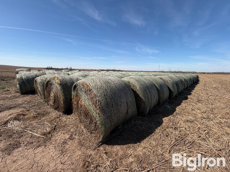 2024-oat-hay-image-1