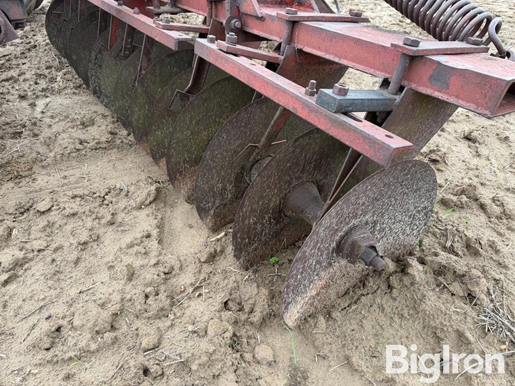 international-470-image-15