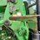 2014-john-deere-6115d-image-40