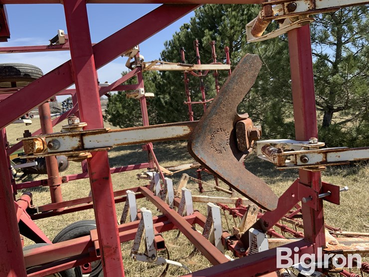 wil-rich-2500-image-17