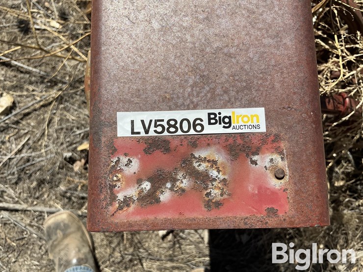 international-181-image-17