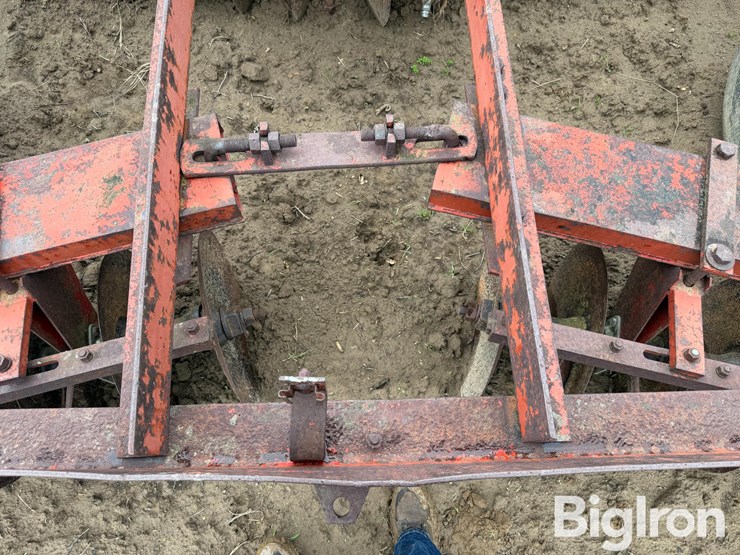 international-470-image-15