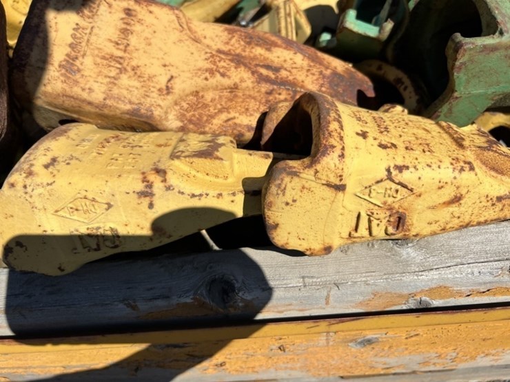 cat-bucket-teeth-image-5