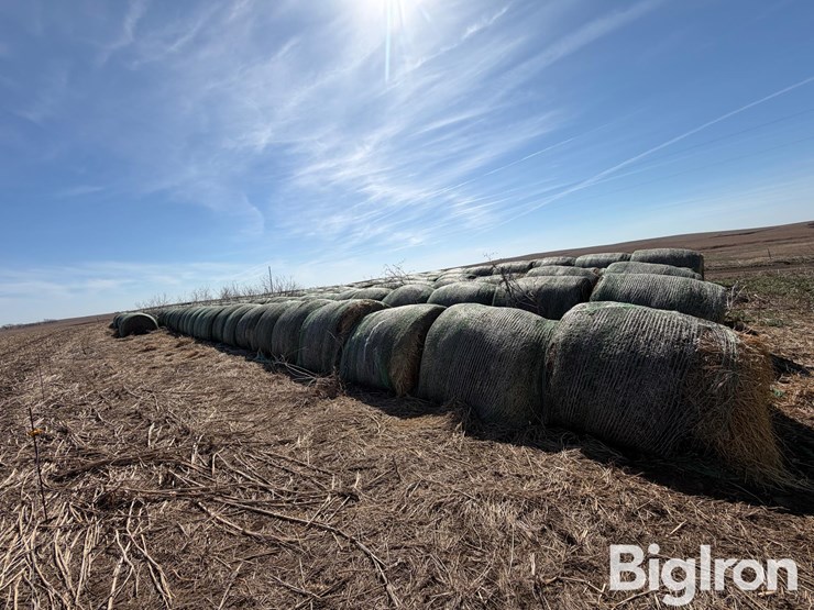 2024-oat-hay-image-8