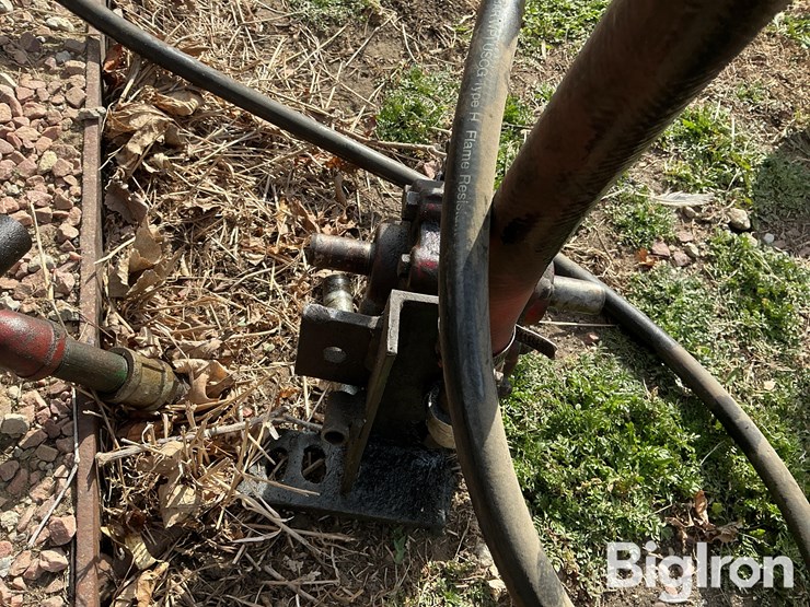 international-m-image-16