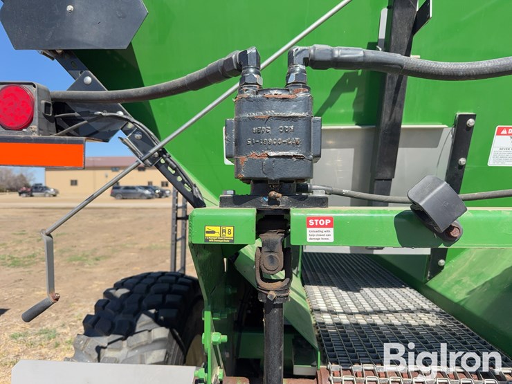 bbi-grasshopper-image-16