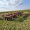 vaughn-&-valarie-johnson-farm-equipment-retirement-auction-image-6