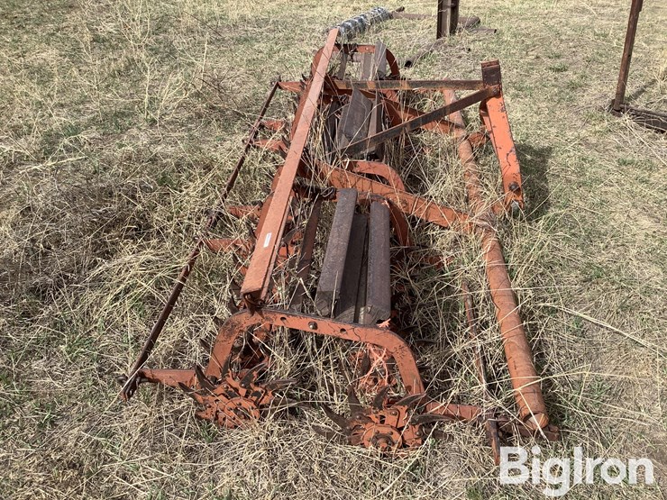 international-3-image-4