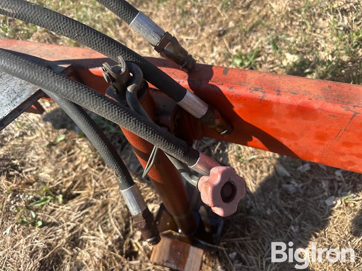 international-45-image-11