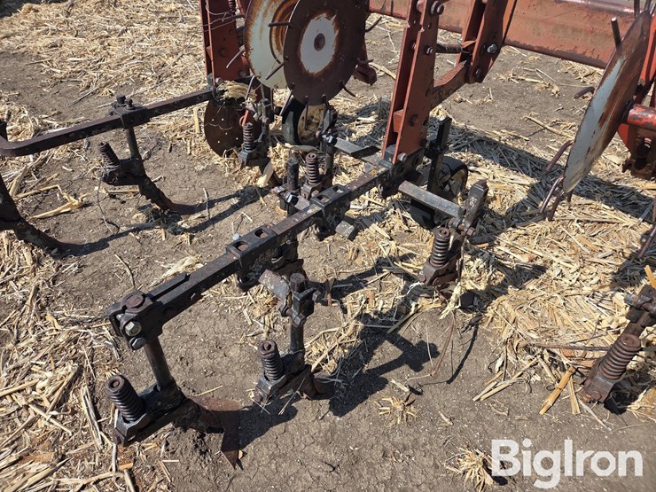 international-153-image-18