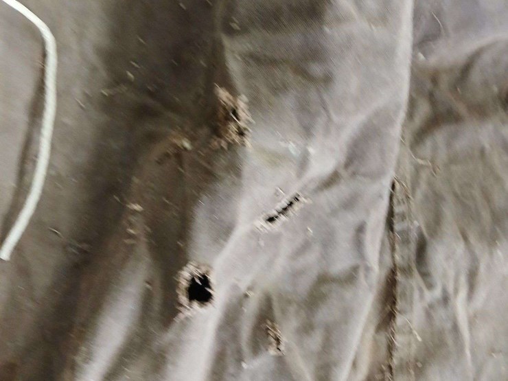 canvas-cover-image-2