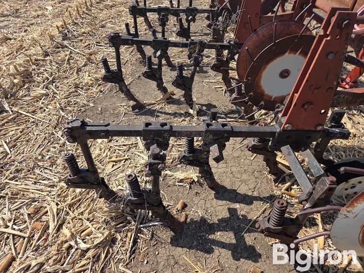 international-153-image-16