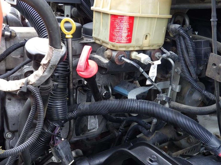 2012-international-terrastar-image-24