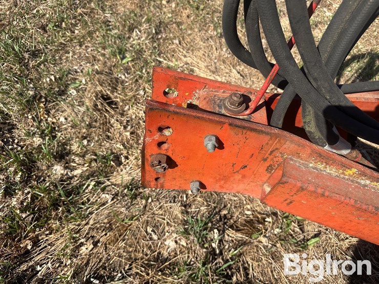 international-45-image-10