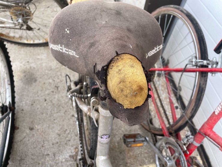 #7074-•-(4)-bikes-(o4)-image-18