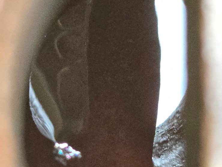 1970-caterpillar-d8l-image-81