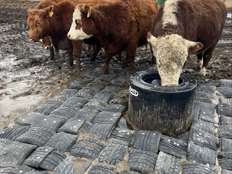 10’x10’-cobett-mat-2462-image-4