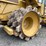 2015-caterpillar-815f-2-image-32