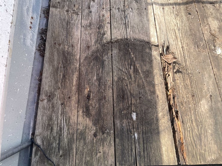 #2487-•-14'-starcraft-(of)-image-40