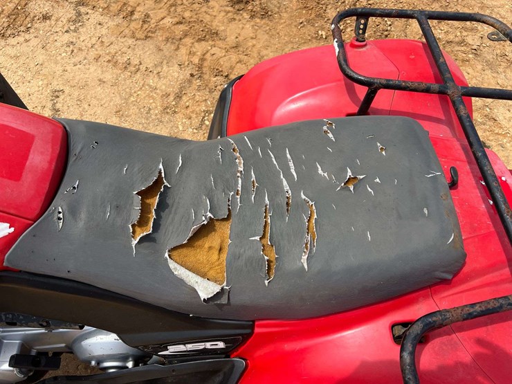 2006-arctic-cat-250-image-12