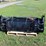 #3103-new-72"-4-in-1-hyd-bucket-future-skid-steer-image-4