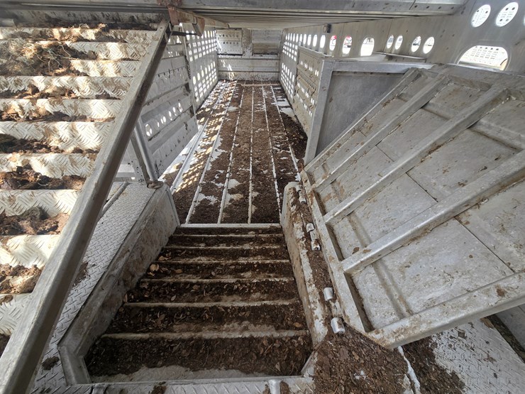 1991-merritt-livestock-image-53