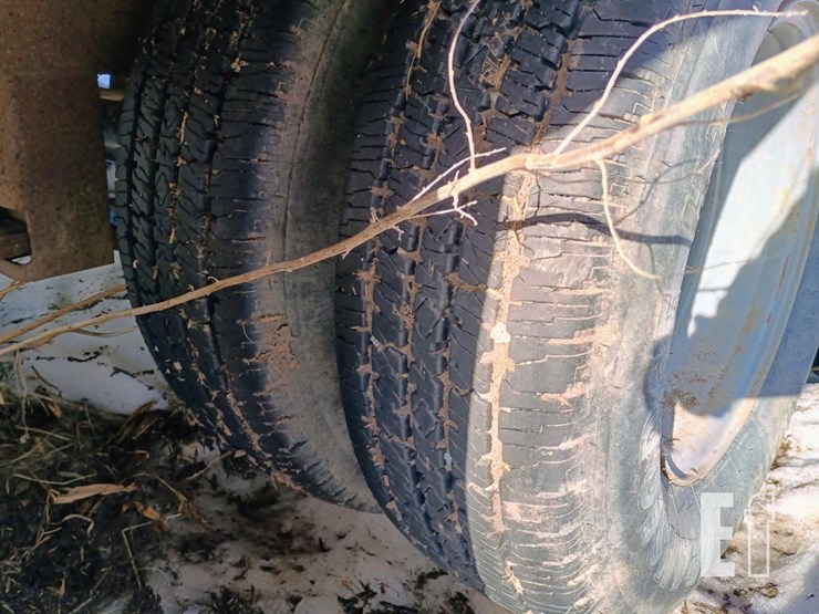 1900-felling-image-8