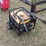#1109-dewalt-dg7000-generator-has-30a-120vac-2-20a-image-2