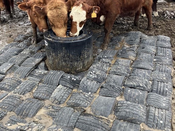 10’x10’-cobett-mat-2462-image-3