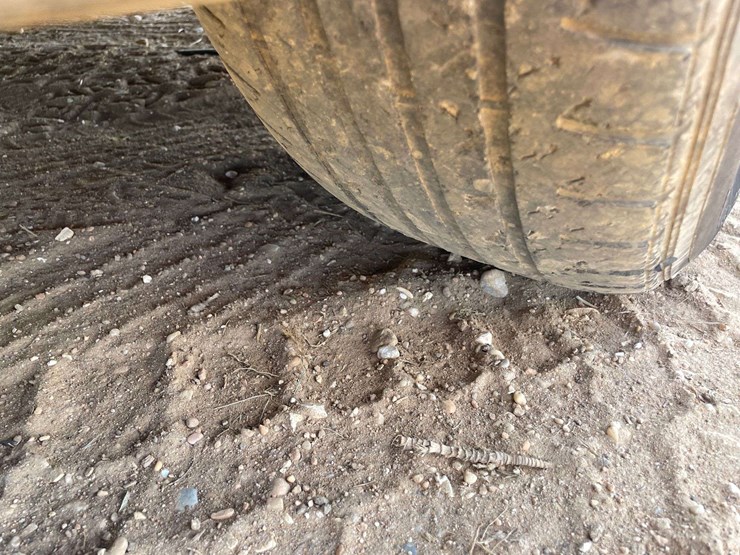 2019-dodge-grand-caravan-gt-image-24