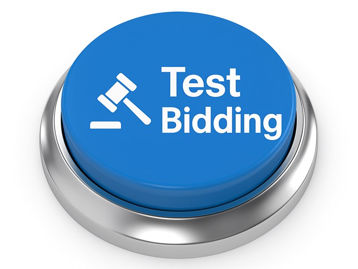 #7-•-test-bidding-image-1