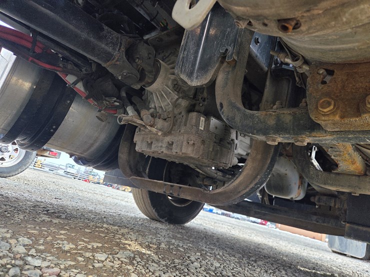 2019-tiger-8051-image-82