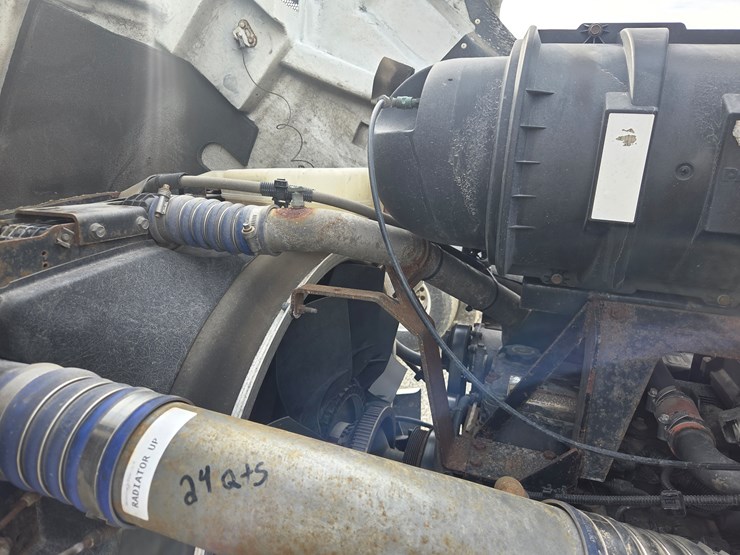 2019-tiger-8051-image-88