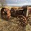fordson-parts-tractor-image-6