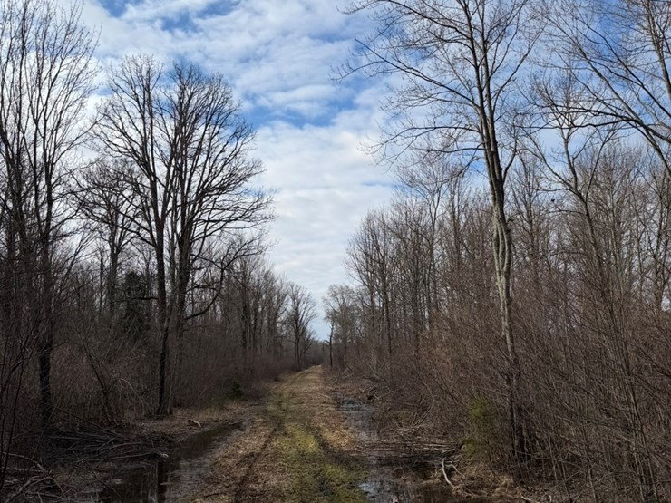 massey-ferguson-8-image-6