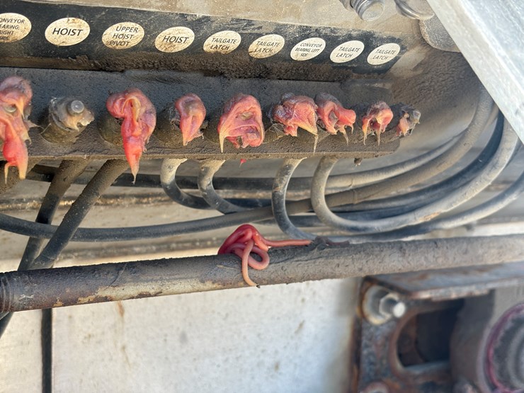 2006-international-7600-image-77