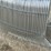 unused-qty-of-(80)-galvanized-site-fence-image-6